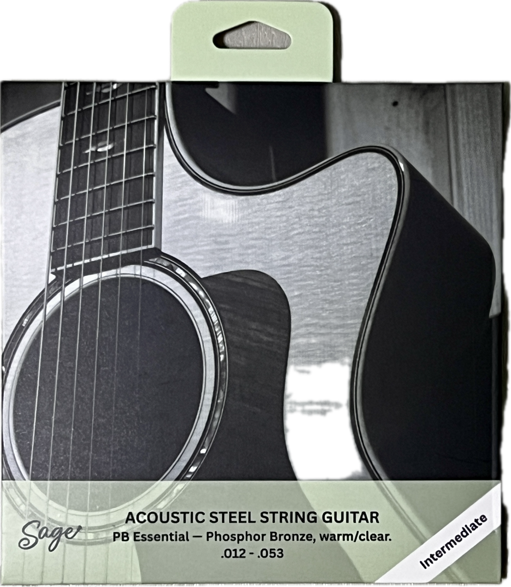 Sage Phosphor Bronze Acoustic Strings – Gauge 12